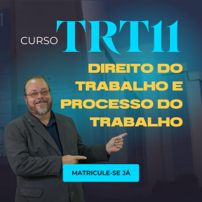 Logo TRT-11 (AM/RR): DIREITO DO TRABALHO E PROCESSO DO TRABALHO - 2023.